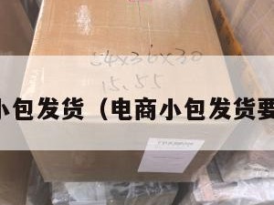 电商小包发货（电商小包发货要多久）
