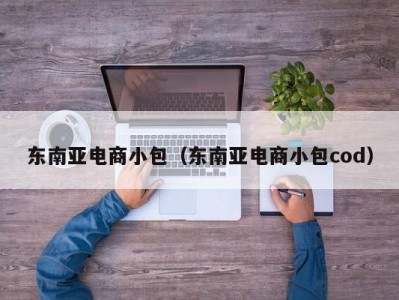 东南亚电商小包（东南亚电商小包cod）