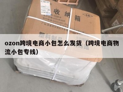 ozon跨境电商小包怎么发货（跨境电商物流小包专线）