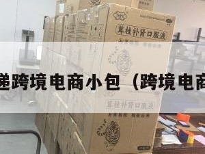 ocs快递跨境电商小包（跨境电商 小包）