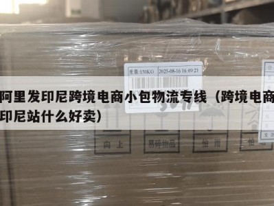 阿里发印尼跨境电商小包物流专线（跨境电商印尼站什么好卖）