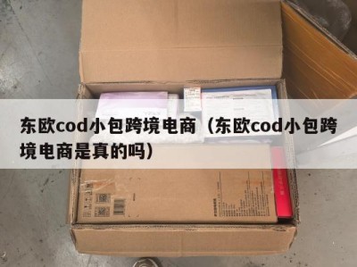 东欧cod小包跨境电商（东欧cod小包跨境电商是真的吗）