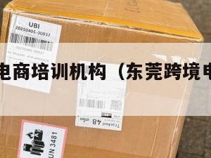 东莞跨境电商培训机构（东莞跨境电商服务中心）
