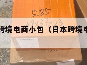 佛山日本跨境电商小包（日本跨境电商分销平台）
