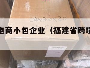 福建跨境电商小包企业（福建省跨境电商扶持政策）