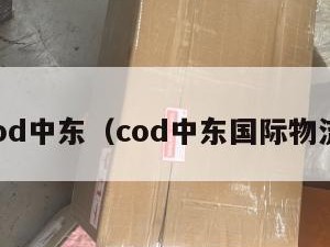 cod中东（cod中东国际物流）