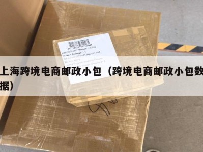 上海跨境电商邮政小包（跨境电商邮政小包数据）