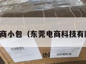 东莞电商小包（东莞电商科技有限公司）