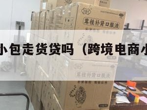 电商跨境小包走货贷吗（跨境电商小包如何清关）