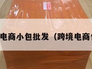 跨境电商小包批发（跨境电商包包）