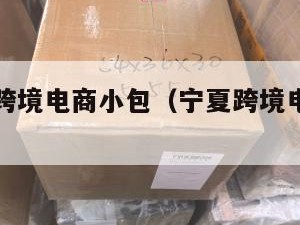 宁夏国际跨境电商小包（宁夏跨境电子商务交易数据）