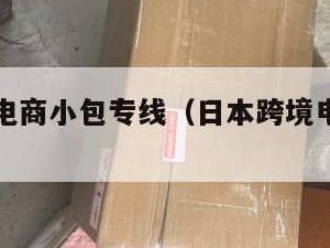 日本跨境电商小包专线（日本跨境电商赚钱吗）