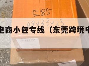 东莞跨境电商小包专线（东莞跨境电商运营招聘）