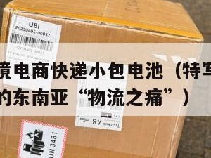 东南亚跨境电商快递小包电池（特写一个跨境电商卖家的东南亚“物流之痛”）