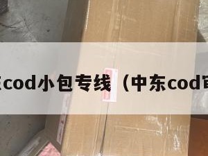 中东cod小包专线（中东cod审单）