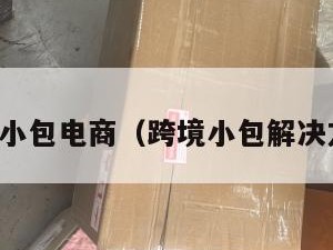 跨境小包电商（跨境小包解决方案）