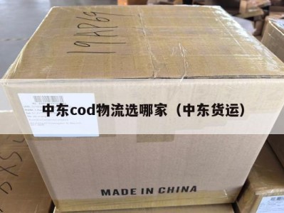 中东cod物流选哪家（中东货运）