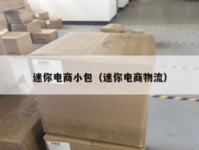 迷你电商小包（迷你电商物流）