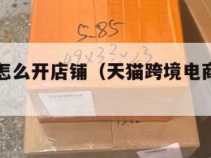 跨境电商怎么开店铺（天猫跨境电商怎么开店铺）