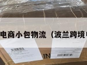 波兰跨境电商小包物流（波兰跨境电商平台）