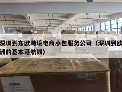 深圳到东欧跨境电商小包服务公司（深圳到欧洲的基本港航线）