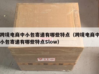 跨境电商中小包寄递有哪些特点（跨境电商中小包寄递有哪些特点Slow）