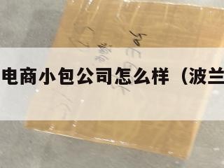 波兰跨境电商小包公司怎么样（波兰外贸平台）