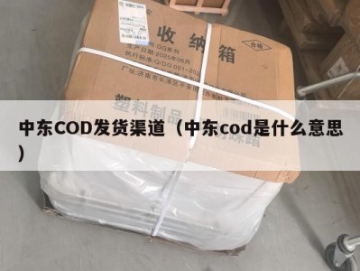中东COD发货渠道（中东cod是什么意思）