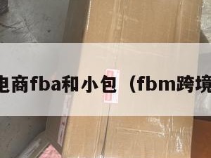 跨境电商fba和小包（fbm跨境电商）