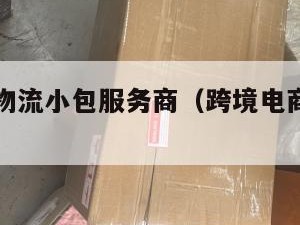 跨境电商物流小包服务商（跨境电商物流小包专线）