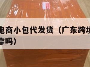 广东跨境电商小包代发货（广东跨境电商小包代发货可靠吗）