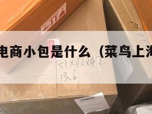 菜鸟跨境电商小包是什么（菜鸟上海跨境项目）