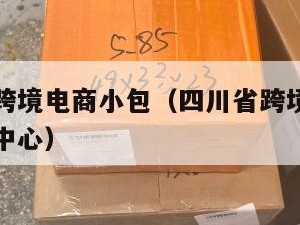四川国际跨境电商小包（四川省跨境电子商务运营孵化中心）