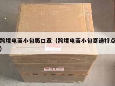 跨境电商小包裹口罩（跨境电商小包寄递特点）