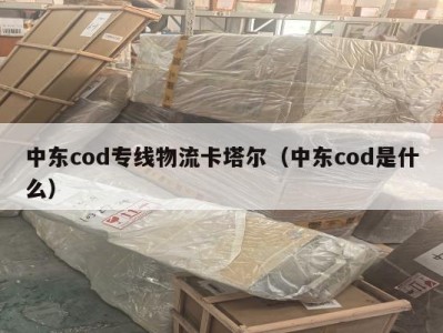 中东cod专线物流卡塔尔（中东cod是什么）