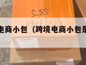 河北跨境电商小包（跨境电商小包是什么意思）