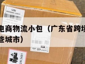 广东跨境电商物流小包（广东省跨境电商企业集中在哪些城市）