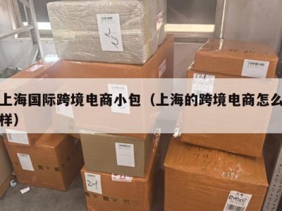 上海国际跨境电商小包（上海的跨境电商怎么样）