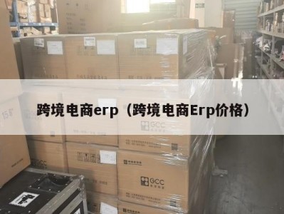 跨境电商erp（跨境电商Erp价格）