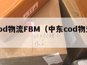 中东cod物流FBM（中东cod物流哪个好）