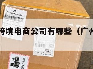 广州小包跨境电商公司有哪些（广州跨境电商大公司）