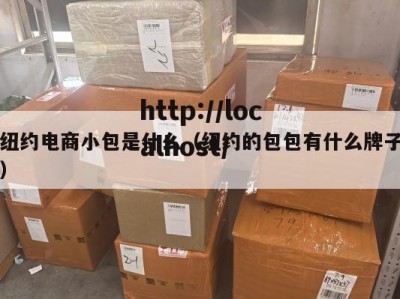 纽约电商小包是什么（纽约的包包有什么牌子）