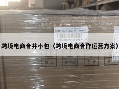 跨境电商合并小包（跨境电商合作运营方案）