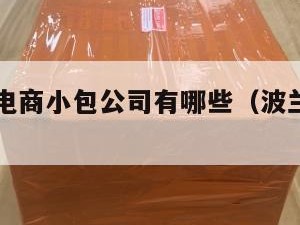 波兰跨境电商小包公司有哪些（波兰快递公司）
