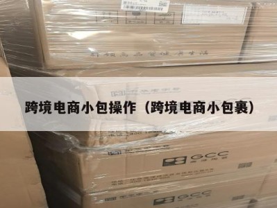 跨境电商小包操作（跨境电商小包裹）