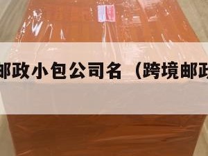 跨境电商邮政小包公司名（跨境邮政小包特点）