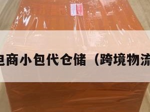 跨境电商小包代仓储（跨境物流小包）