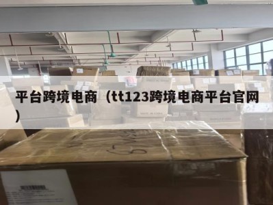 平台跨境电商（tt123跨境电商平台官网）