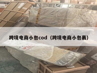 跨境电商小包cod（跨境电商小包裹）