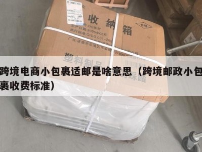 跨境电商小包裹适邮是啥意思（跨境邮政小包裹收费标准）